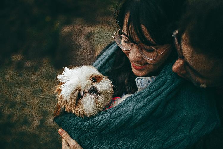 Ideal Dog Breeds For Families - Why Professional Dog Training Is Crucial Choosing the right dog for your family is a significant decision. A dog can bring joy, companionship, and a sense of security into the home, but it's vital to ensure the breed you select fits well with your lifestyle, household dynamics, and, if applicable, the ages of your children. 