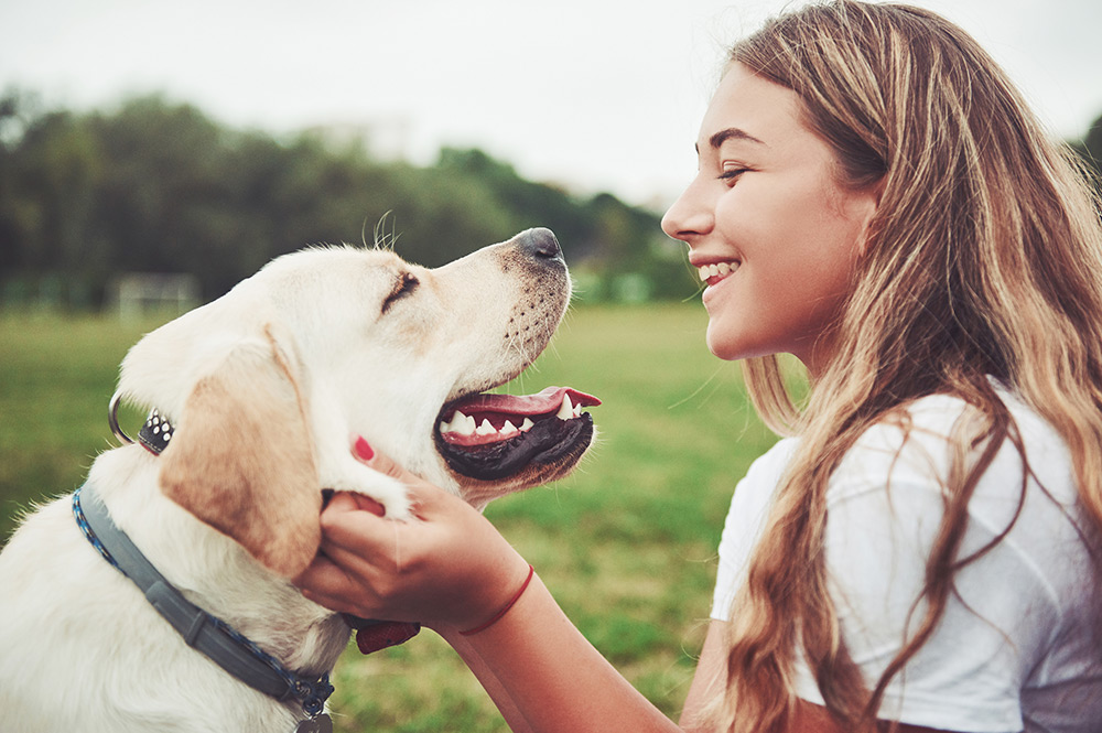 A girl smiling while playing with a happy dog in a grassy field. Cute dog and girl enjoying their time together.