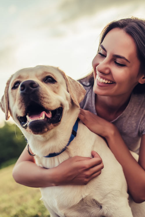 A dog with its owner